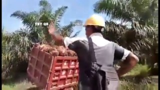 104.Amazing Hilarious Heavy Equipment Operator & Fails