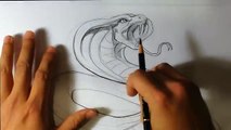How to Draw a Snake - Draw Fantasy Art