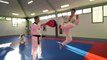 Présentation du Club Taekwondo de Villennes sur Seine