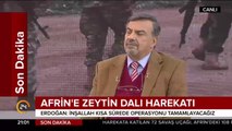 Zeytin Dalı Harekatı