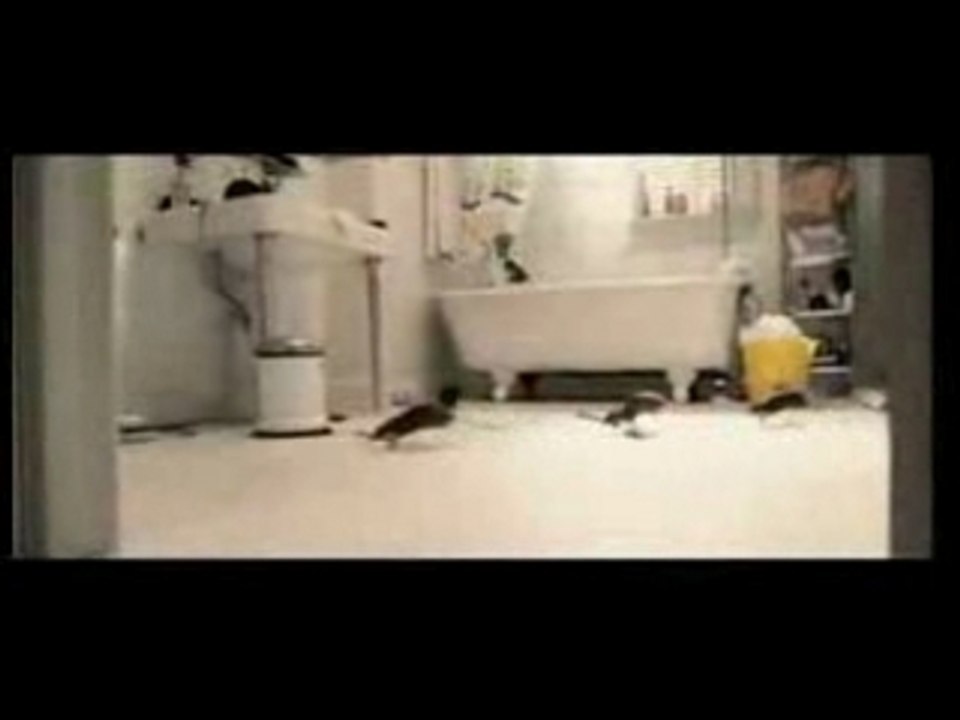 Trailer FR