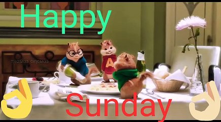 Cartoon cute squirrel animation for babies