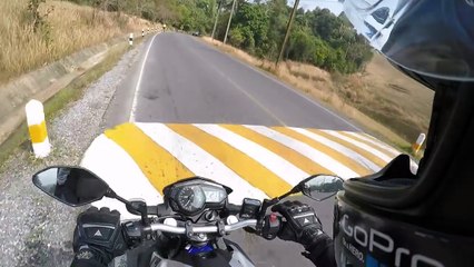 Biker Meets Bear