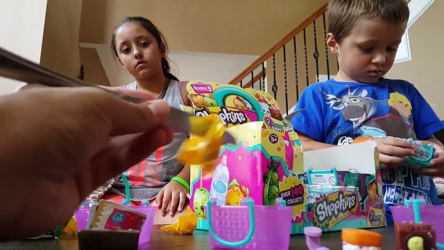 Dirt Sledding & Our BROKEN Drone! (FUNnel Vision Family Vlog)