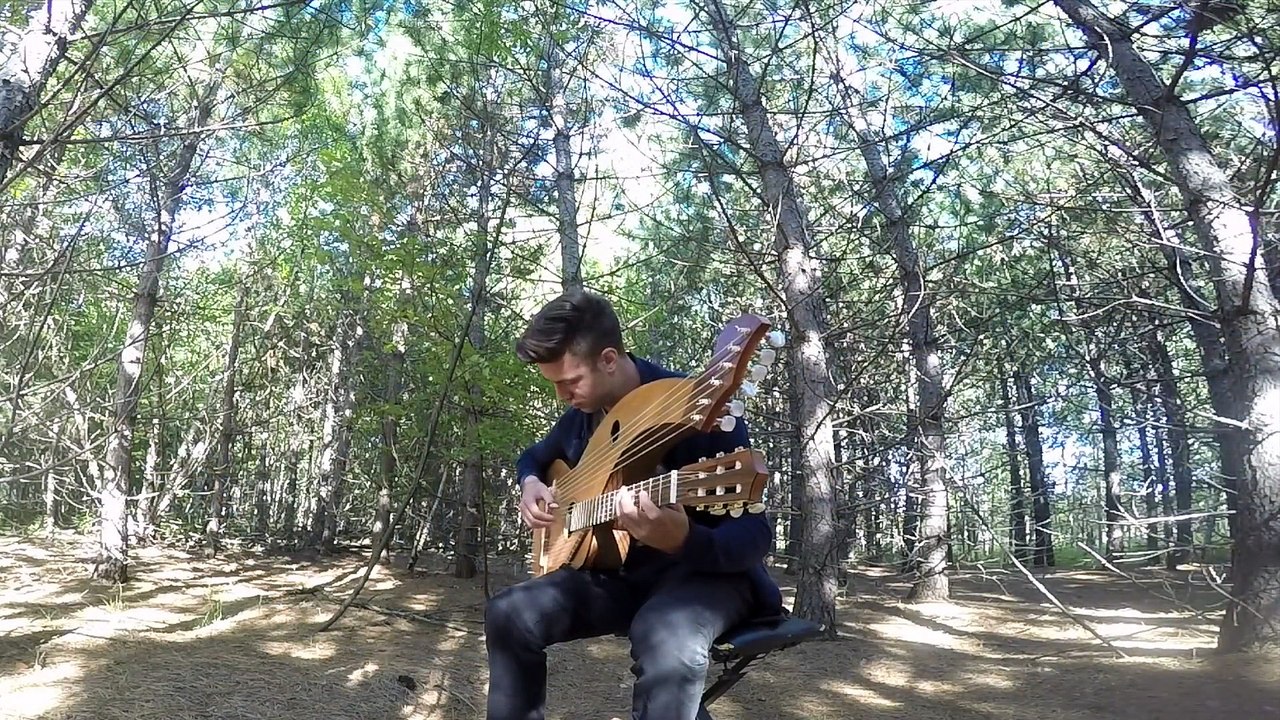 The Sound of Silence - 18 String Harp Guitar Cover