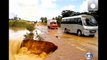 Bus sucked into sinkhole and swept away by river, Brazil