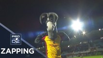 PROD2 – Le Zapping de la J20 – Saison 2017-2018