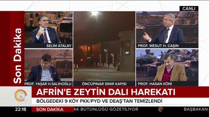 Zeytin Dalı Harekatı