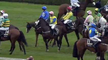 2014 Crabbie's Grand National Chase - Pineau De Re - Racing UK