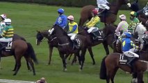 2014 Crabbie's Grand National Chase - Pineau De Re - Racing UK