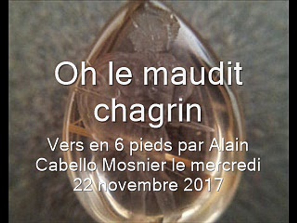Oh le maudit chagrin