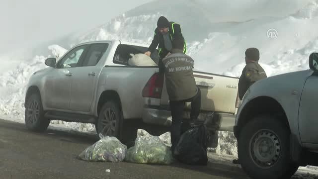 Yaban Hayvanları İçin Doğaya Yem Bırakıldı