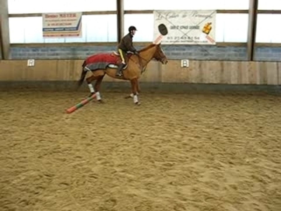 Photo 018
