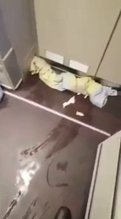 L'état catastrophique dans lequel les passagers ont laissé cet avion Airbus A380 de la compagnie Saudi Arabian Airlines