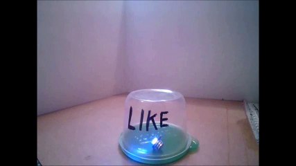 CRUSHED IT. YELLOW SQUASH.