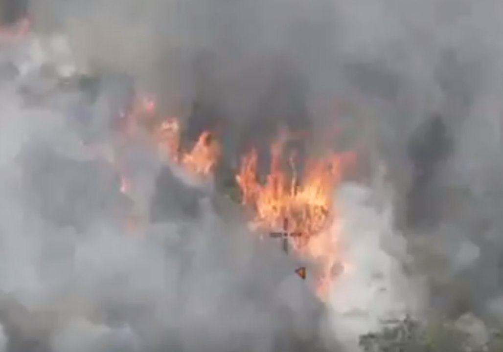 Winds Fan Bushfires at Royal National Park