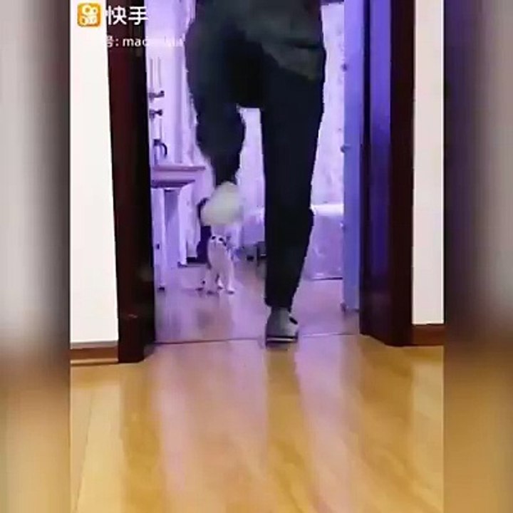 Con sen chơi lầy nà :v dán băng keo riếc rồi con boss hông dám đi qua cửa luôn :)))