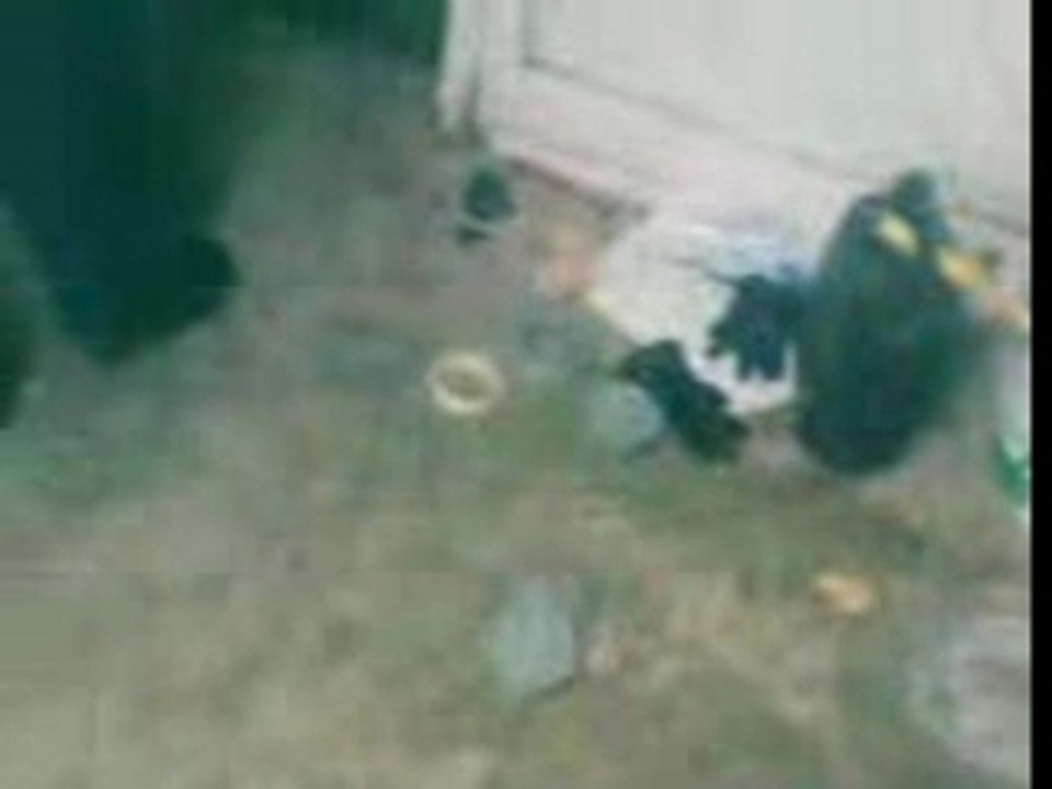 VID058