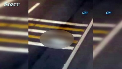 Giresun’da bir kişi baygın köpeği otoyola attı