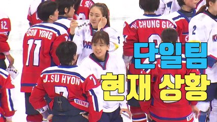 [자막뉴스] 여자 아이스하키 단일팀, 합의는 했는데... / YTN