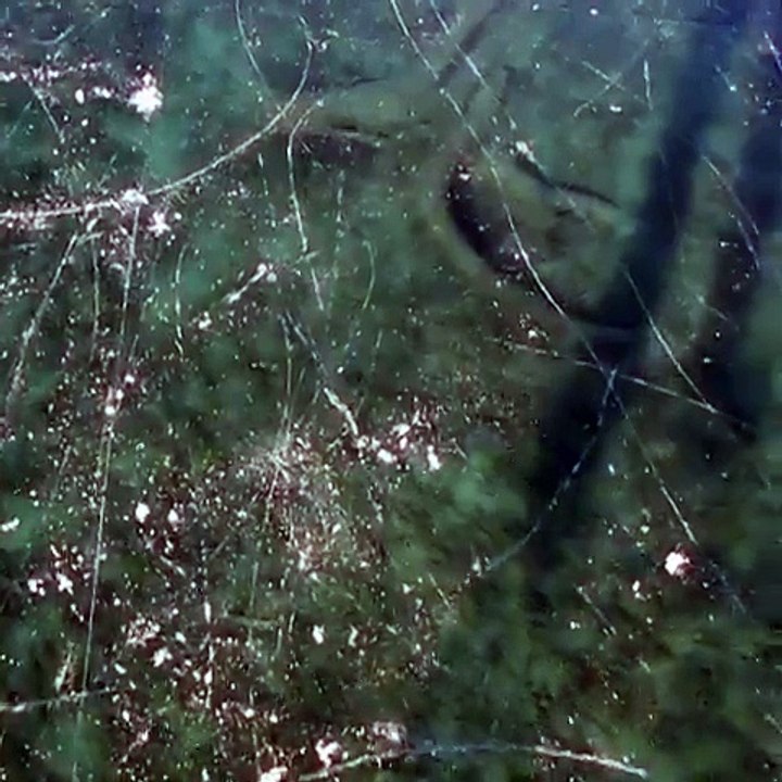 Patin à glace au-dessus d'un lac gelé transparent !! On voit le fond !!