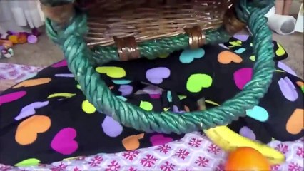 Bad Baby Crying Alien Crushes Picnic Food with Lawn Mower Freak Family Annabelle Victoria