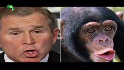 Ünlülerin Ve Siyasilerin Komik benzerleri ;D...☺☺