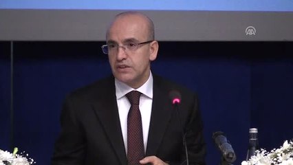 Mehmet Şimşek: "Üçte İkisi Üretene Yatırım Yapana Tahsis Etmiş Oluyoruz"