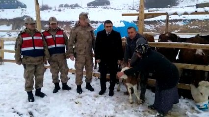 Çalınan 5 hayvan, 7 tane olarak geri döndü