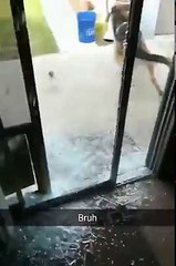 "Mị lao vào như trái bi to" nhé :v Nuôi boss to thì chịu thoy :3.Món đồ mắc nhứt mà boss phá ở nhà mấy sen là gì nào :)))