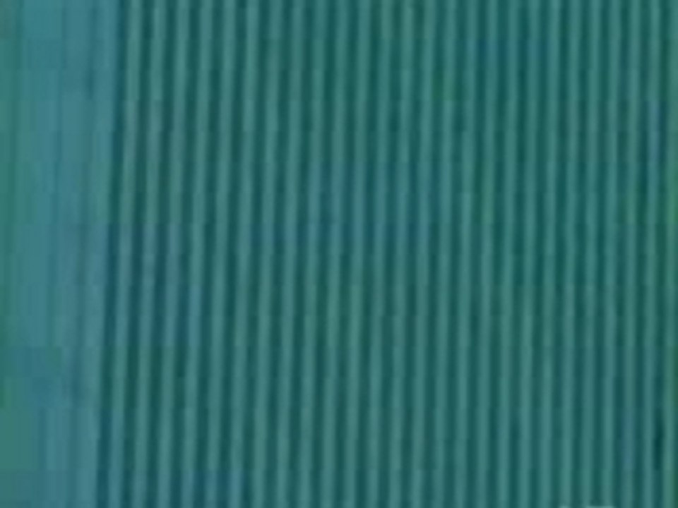 Suicide Du World Trade Center (11 Septembre 2001)