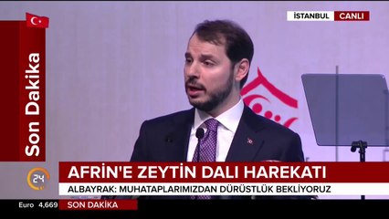Zeytin Dalı Harekatı