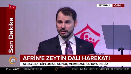 Zeytin Dalı Harekatı