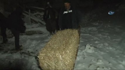 Kış Şartlarında Zorlu Hayvan Bakımı