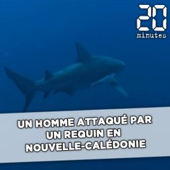 Un homme attaqué par un requin en Nouvelle-Calédonie