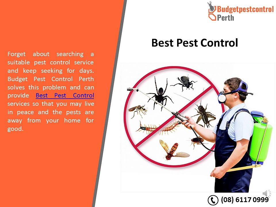 Budget Pest Control Perth, WA
