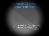 Things To Do Immediately About Extension Springs-1