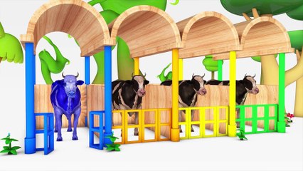 Learn Color Farm Cherry Cow Color Fruits W ABC Song Cartoon Nursery Rhymes For Children