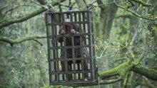 Vikings Season 5 -- Episode 11 Full New Season