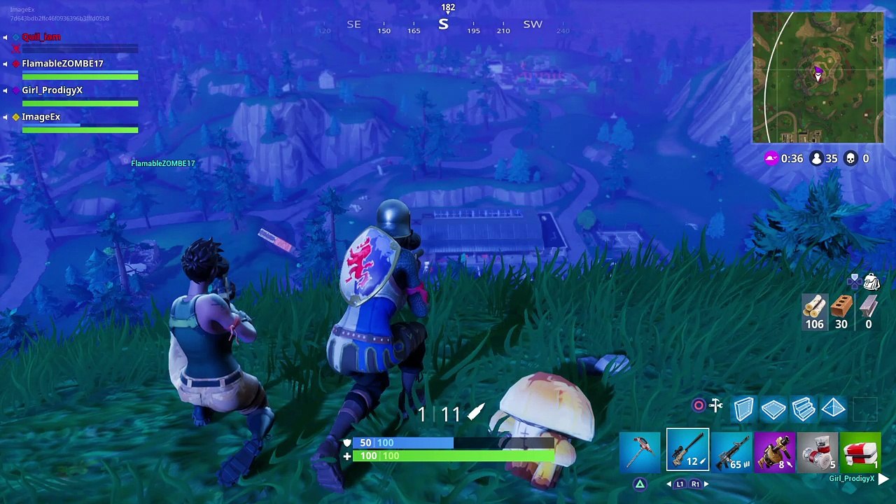 Fortnite_20180122012137