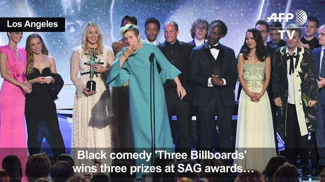 Hollywood hits red carpet for SAG awards