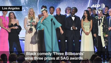 Hollywood hits red carpet for SAG awards