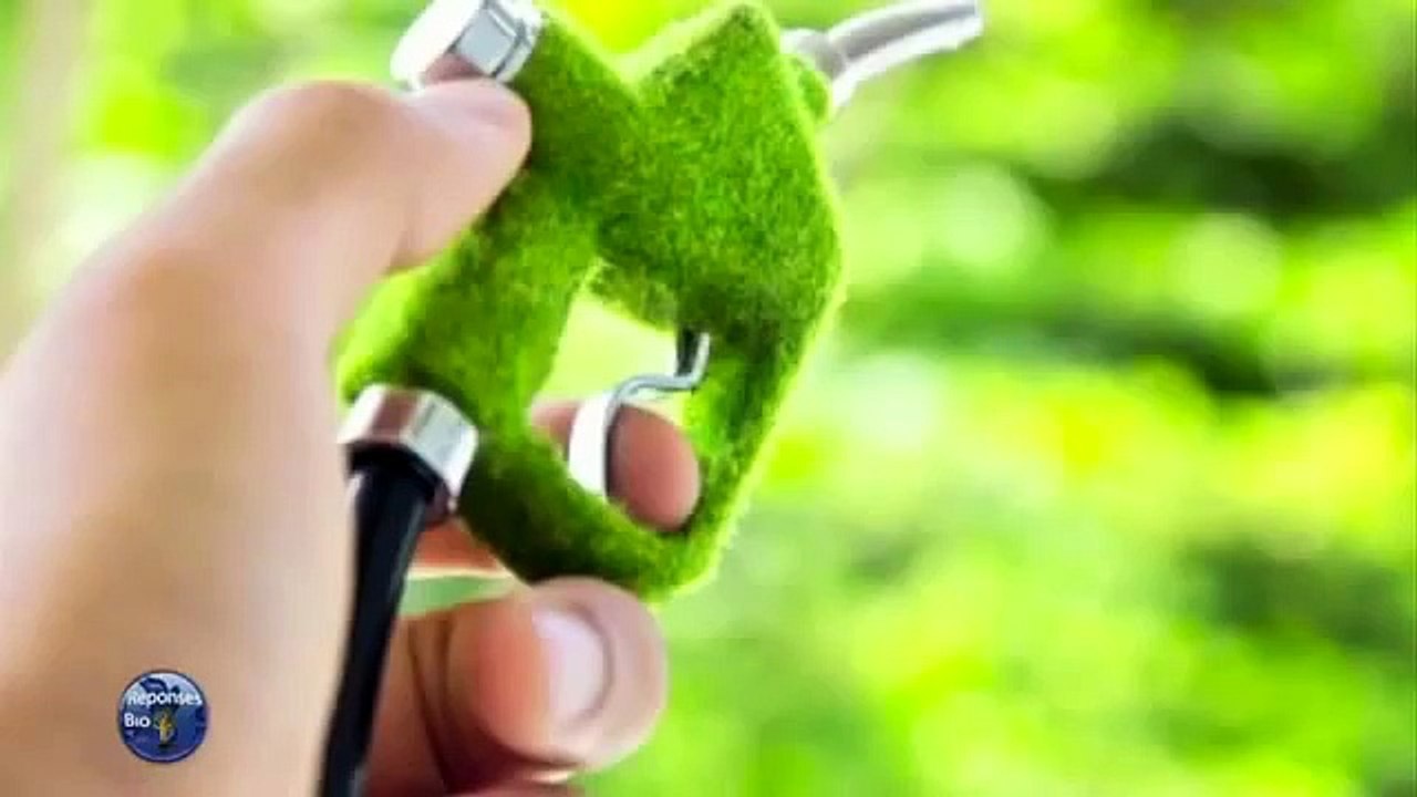 Hommage  à sylvie simon ( auteur de 34 ouvrages, est également journaliste)