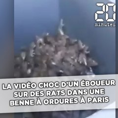 La vidéo choc d'un éboueur sur des rats dans une benne à ordures à Paris