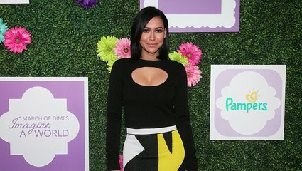 Monster Mom? Naya’s Ex Claims Drunk Star LET GO Of Baby Stroller Before Brutal Attack