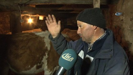 Kış şartlarında zorlu hayvan bakımı