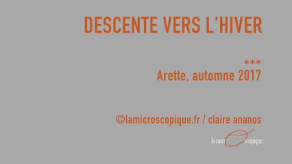 Descente vers l'hiver