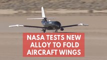 Nasa tests shape memory alloy for foldable aircraft wings during flight