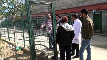 Hayvansever çiftten sahiplenme çağrısı