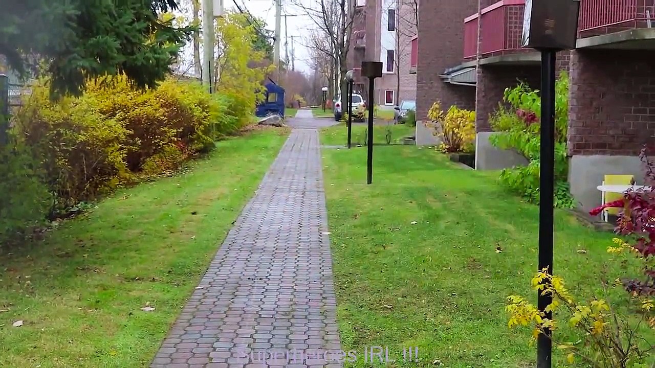 Frozen Elsa & Spiderman FINDS a DRAGON EGG! w  Maleficent Joker Toys Fun Superhero in real life IRL | Superheroes | Spiderman | Superman | Frozen Elsa | Joker